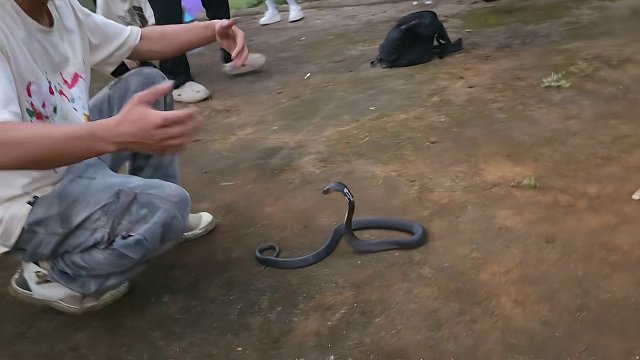 9.19 小小小酷哥-組織直播名場(chǎng)面