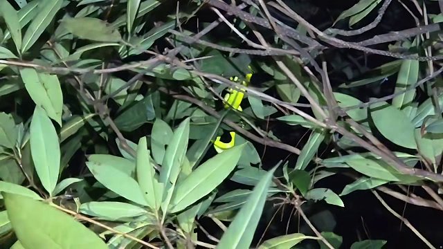 9.19 小小小酷哥-組織直播名場(chǎng)面