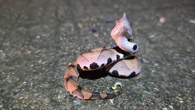 9.20 小小小酷哥-組織直播名場(chǎng)面