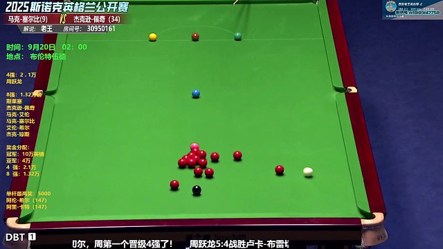 塞爾比VS佩奇 英格蘭公開賽1/4決賽第九局