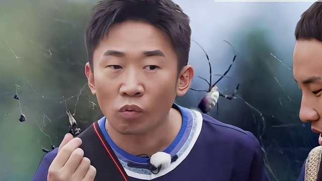 楊迪吃“壓榨蜘蛛”從抗拒到接受只用三秒