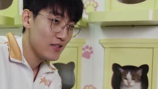 Tarzan的喵隊(duì)友“？”正期待與愛心召喚師的相遇。 #2025LPL全明星公益日  #誰不想領(lǐng)養(yǎng)一