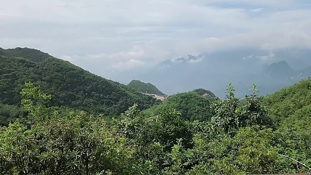 直播時(shí)抬手整理頭發(fā)