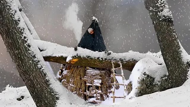 野外求生遭遇暴风雪侵袭，小伙利用倒塌大树，巧妙设计复式避难所