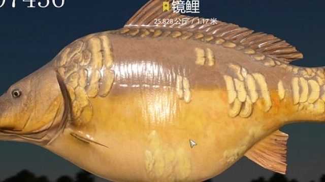 鏡鯉