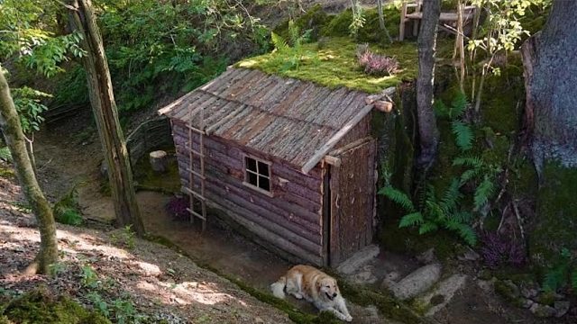 中年男子准备隐居荒山，凭借精湛的技术，搭建堪比豪宅的荒野木屋