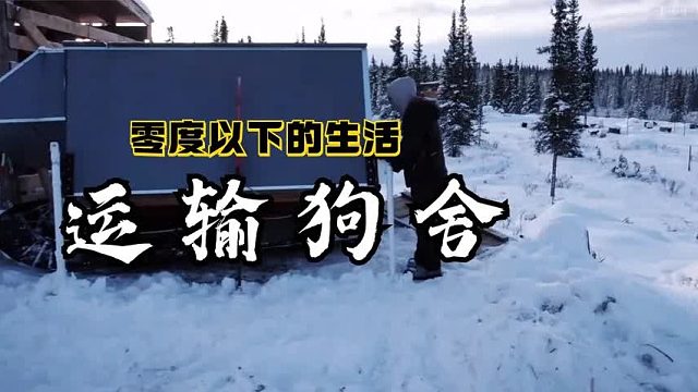 零度以下的生活：一场大雪后杰西用皮卡车运送狗舍通向外界的公路
