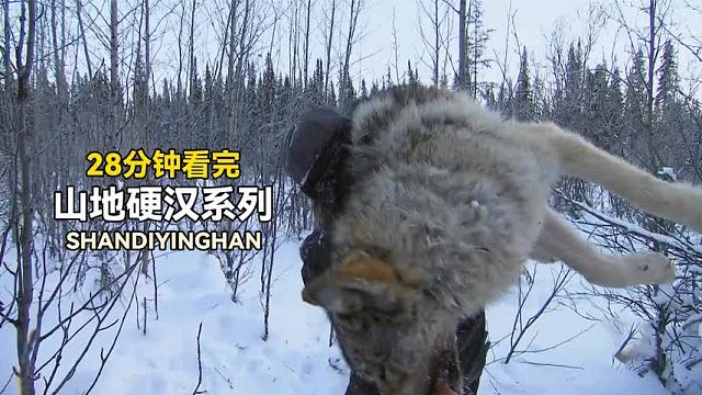 山地硬汉系列：猎人捕捉野猪狩猎郊狼，冒着严寒艰难求生！