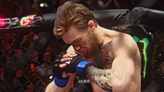 “獅子不會因為狗叫而回頭”