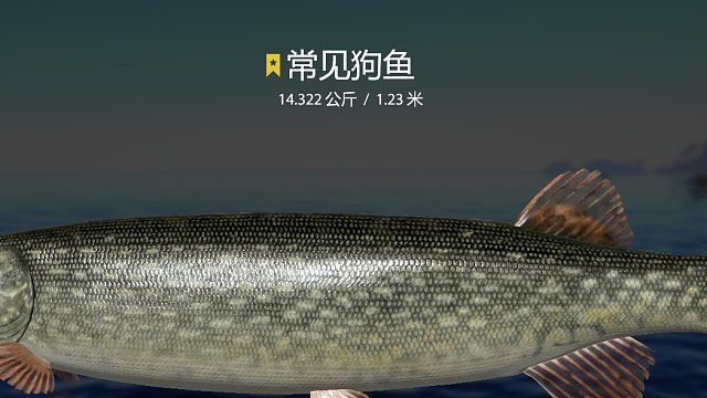 老奧沒(méi)星狗必看