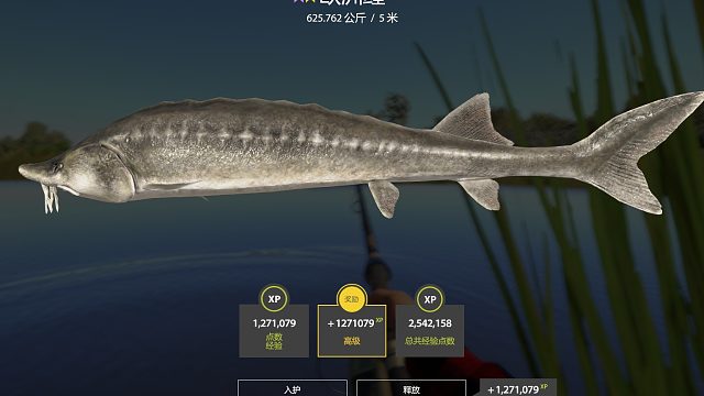 5185 起魚