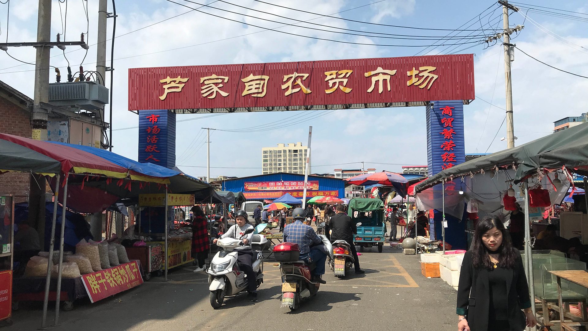 市場(chǎng)的聲音 1 The Voice of the Market 1