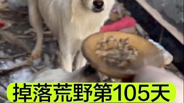 掉落荒野的第105天我們終于成功分食了大魚