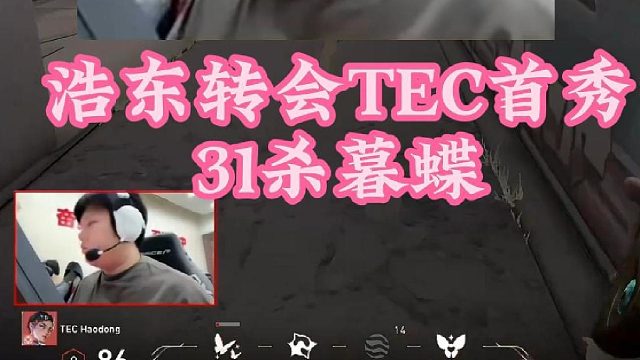 DANK1NG看haodong轉(zhuǎn)會(huì)TEC首秀，31殺暮蝶證明自己！