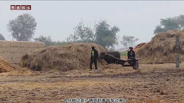 偽裝成稻草人惡搞下地的看完笑一天