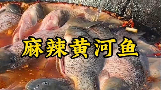 鄉(xiāng)村大鍋菜一道黃河大鯉魚