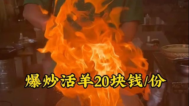 爆炒活羊20塊錢1份