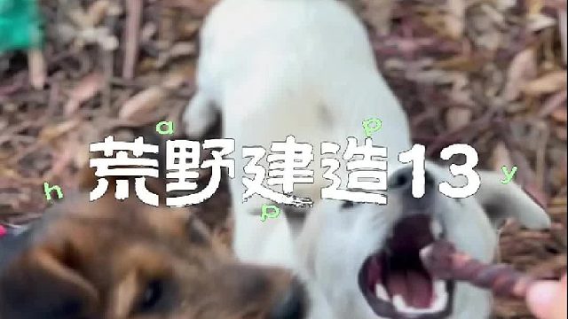 冬天的打針又被推遲了