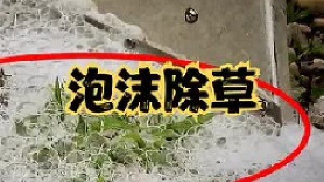 不可思議的泡沫除草，把滾燙泡沫噴在草上，就能連根腐爛