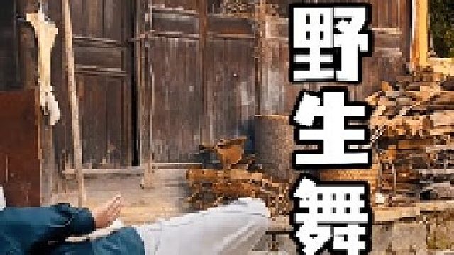 野生舞蹈，能跳哪里都有舞臺