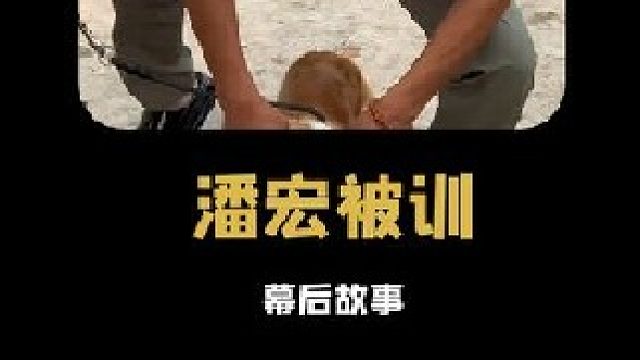 潘宏曾訓(xùn)狗，如今卻被毒師訓(xùn)斥