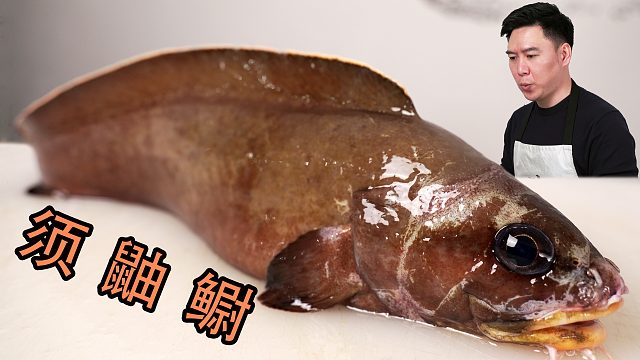 全網(wǎng)首吃深海胡子魚，須鼬鳚，出鍋后絕了