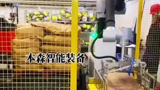 袋裝固體飲料碼垛協(xié)作機(jī)器人堆碼機(jī)