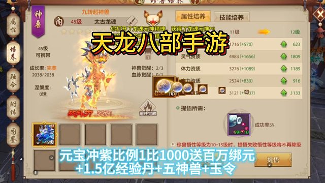 天龍八部手游