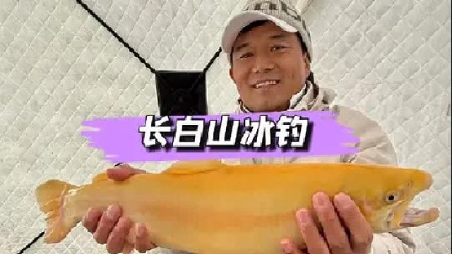 長白山冰釣意外收獲金鱒魚。