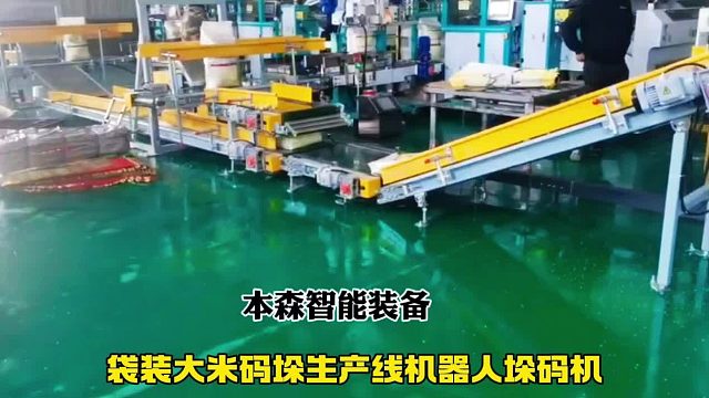 袋裝大米碼垛生產(chǎn)線機(jī)器人垛碼機(jī)