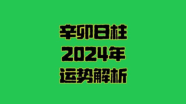 辛卯日2025年運(yùn)勢  辛卯日柱生人男女2025年乙巳年蛇年運(yùn)勢解析