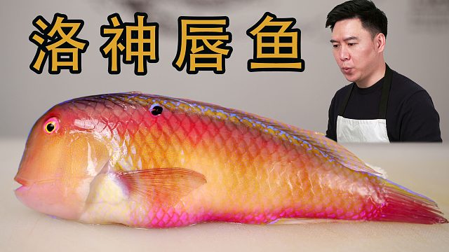 逛海鮮市場遇“紅新娘”魚，性感的我都舍不得吃它