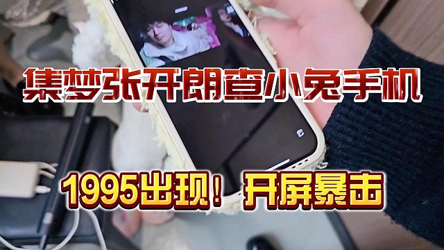 張開(kāi)朗現(xiàn)場(chǎng)逮捕小兔刷1995，有xdm接小兔回家嗎