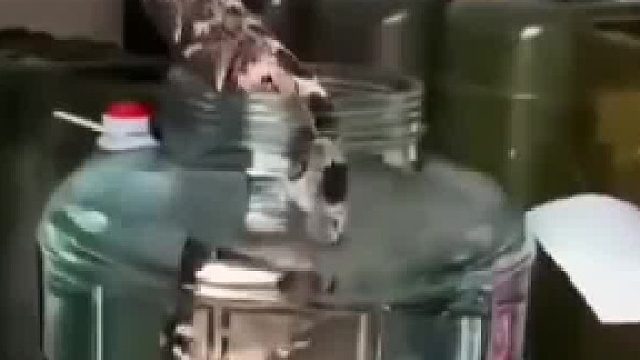 男子用活五步蛇制酒 稍有不慎不堪設(shè)想 網(wǎng)友：這酒真的能喝嗎