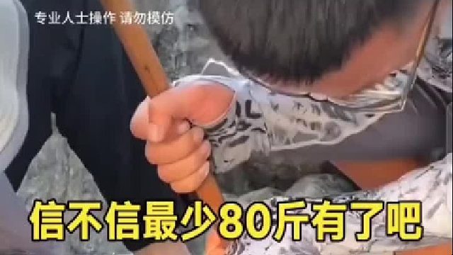 大鰻魚太可怕了