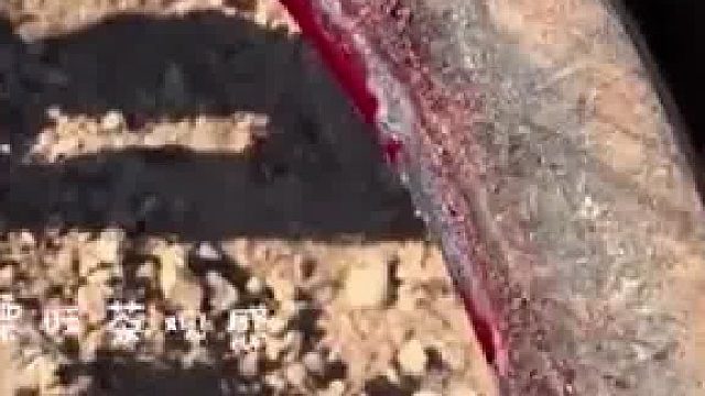 挖機(jī)師傅野外獨(dú)自作業(yè)，突然發(fā)現(xiàn)這樣一幕，這種問題怎么解決