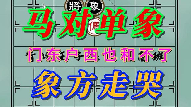 馬對(duì)單象，葉紫涵來(lái)了也和不上