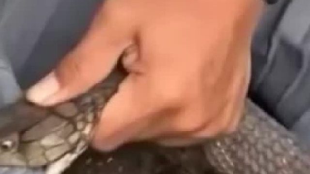 戶外徒步，別瞎踩，尤其是東南亞
