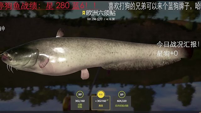 抽停藍(lán)狗捕捉計(jì)劃之歐鯰之友之小十五大戰(zhàn)181星豬??！