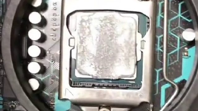 我不是故意的，只是花田里放了錯(cuò)
