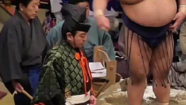 聽說相撲手需要別人幫擦屁屁