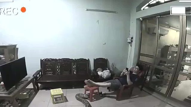 以為是假的，看見動(dòng)了下才知道真的，蛇：我就安靜的躺著啥也沒干