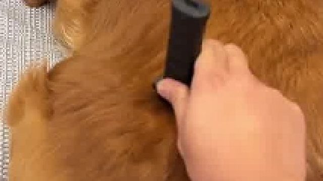 肉干變臉大師