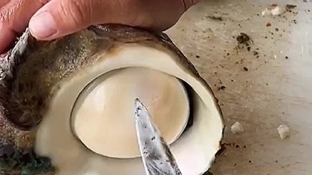 大哥取螺肉，厲害了啊