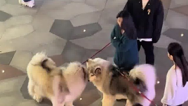 藍牙配對成功