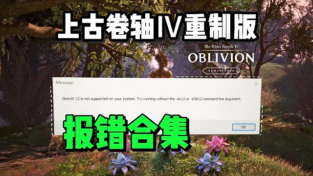【上古卷軸4】最新有效進(jìn)不去//幀率低/閃退/DX12報(bào)錯(cuò)解決合集~游玩必看