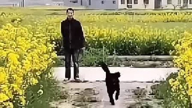 自古忠孝不能兩全！