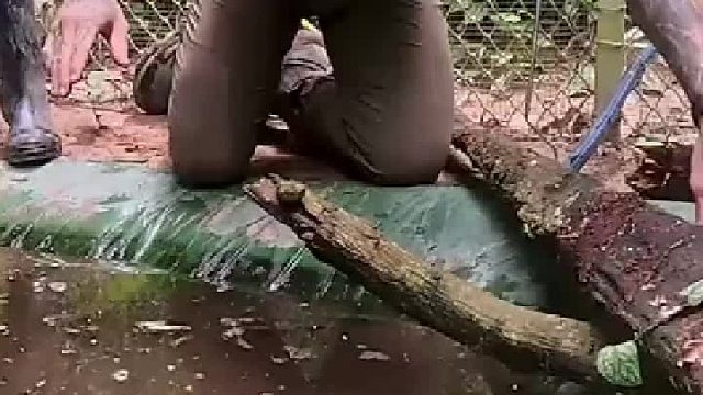 我還以為抓的是魚！