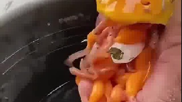 它連自己孩子都保不住，還能保佑你好運？