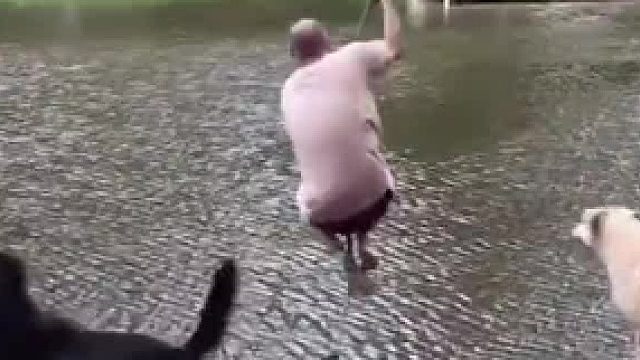 你開玩笑，它卻當真了，隔著屏幕都能感受到小狗的焦急！